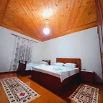 Sokolli * Gjirokastër