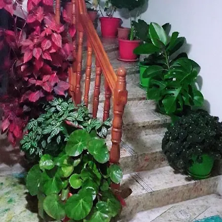 Sokolli بيت ضيافة