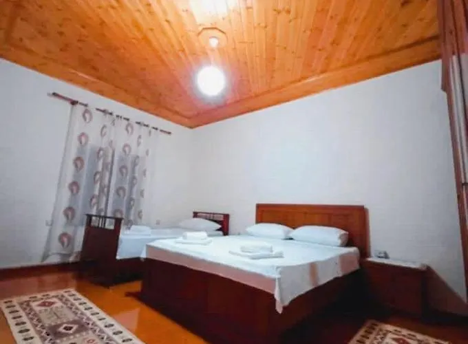 Sokolli * Gjirokastër